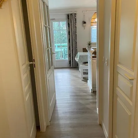 Douceur De Pins Balcon Et Piscine Lacanau